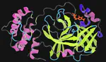 Quantum of Solace: Research Seeks Atomic Keys to Lock Down COVID-19