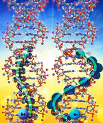 Department of Energy Project at UC Riverside Uses SDSC Resources for DNA Findings